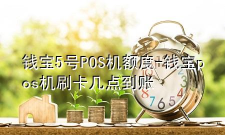 钱宝5号POS机额度-钱宝pos机刷卡几点到账