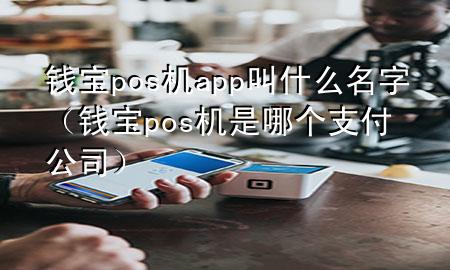 钱宝pos机app叫什么名字（钱宝pos机是哪个支付公司）