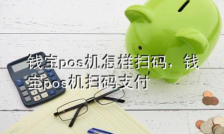 钱宝pos机怎样扫码，钱宝pos机扫码支付