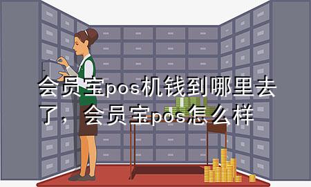 会员宝pos机钱到哪里去了，会员宝pos怎么样