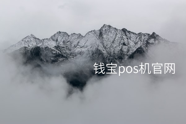 钱宝POS机，让创业者的生意变得更加顺利