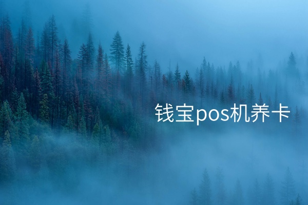 钱宝POS机养卡：推动企业数字化转型的有效解决方案