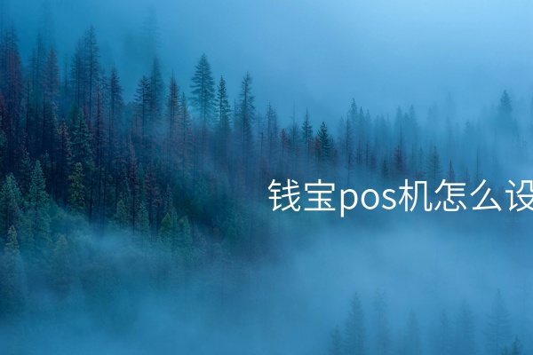 钱宝POS机设置：精彩实用的使用指南