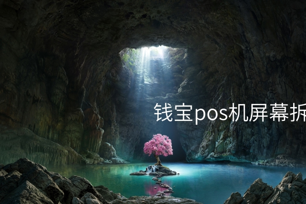 如何拆解钱宝POS机屏幕，避免出错