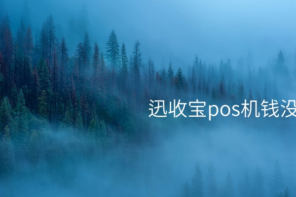 迅收宝（Xunshou Bao）POS机账户款项未结全解析