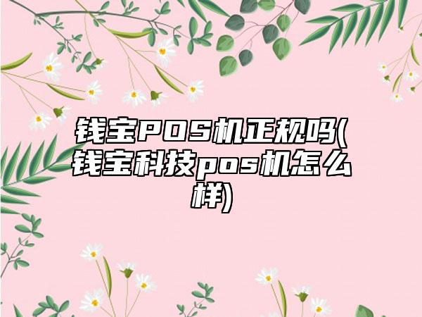 钱宝POS机正规吗(钱宝科技pos机怎么样)