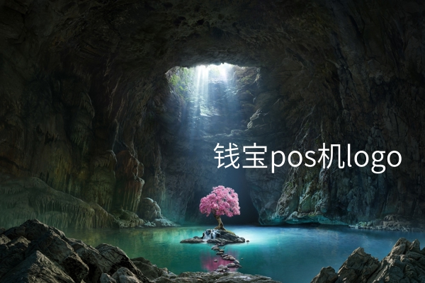 钱宝pos机logo