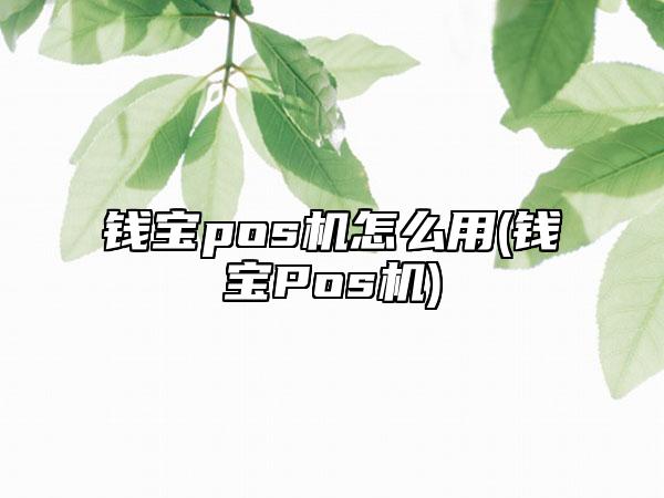 钱宝pos机怎么用(钱宝Pos机)