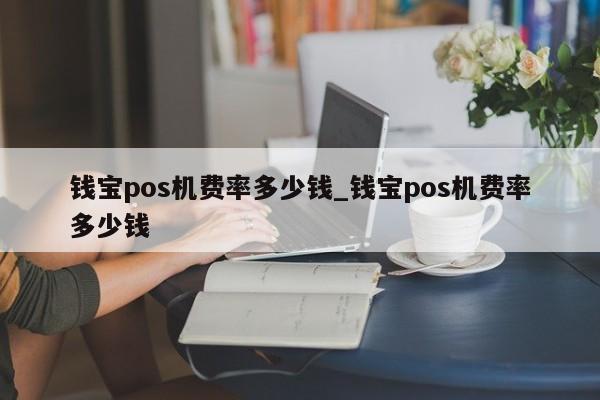 钱宝pos机**_钱贝宝pos机_钱宝pos机使用教程