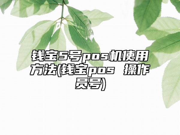 钱宝5号pos机使用方法(钱宝pos 操作员号)